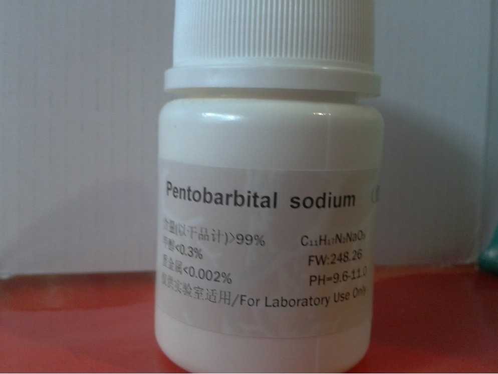Nembutal Pentobarbital sodný na prodej.