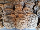 Adela brambory konzumní, typ B, Havířov a okolí