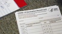 falešný očkovací průkaz covid-19