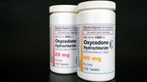 Prodáváme všechny druhy léků: --Oxykodone