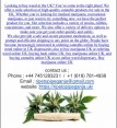 Buy Weed Online UK
