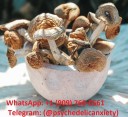 https://psychedelicanxiety.com Buy Mushroom Shroom