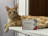 Worlex — přírodní antiparazitární komplex
